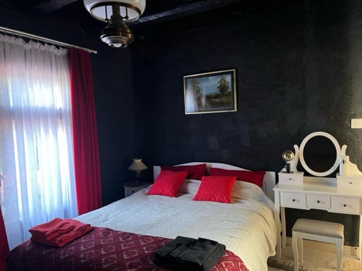 Vila Milica & Spa Aleksandra Dimitrovgrad Eksteriør billede
