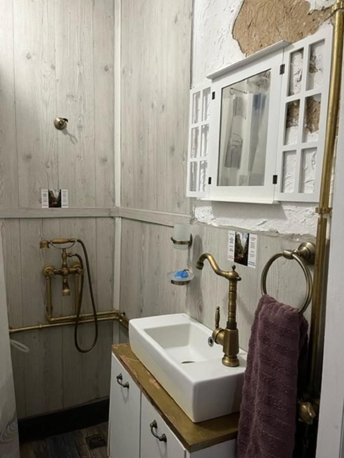 Vila Milica & Spa Aleksandra Dimitrovgrad Eksteriør billede