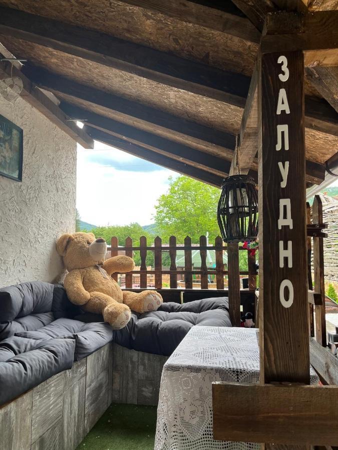 Vila Milica & Spa Aleksandra Dimitrovgrad Eksteriør billede